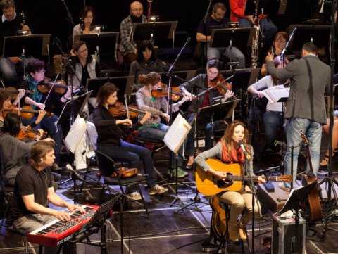 2014-05-29 Koncert s Jihočeskou komorní filharmonií 